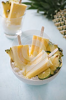 Homemade Pineapple Popsicles on a bowlselective focus; close-up shot