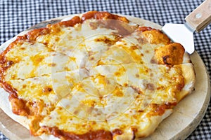 Homemade Pizza made from dough topped with spices like ham, sausage , vegetables and cheese