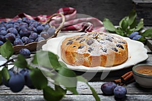 Homemade plum pie with cinnamon, powdered sugar dressing and fresh blue plums