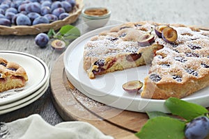 Homemade plum pie, powdered sugar dressing. New York Times recipe plum cake