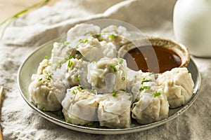 Homemade Pork Shu Mai Dumplings