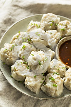 Homemade Pork Shu Mai Dumplings