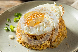 Homemade Potsticker Fried Rice