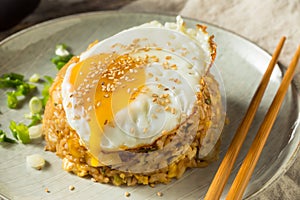 Homemade Potsticker Fried Rice