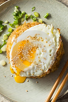 Homemade Potsticker Fried Rice