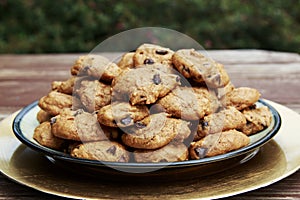 Homemade Pumpkin Chocolate Chip Cookies served on a plate