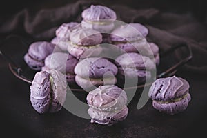 Domestico viola biscotti bianco cioccolato crema riempimento stile sul marrone 