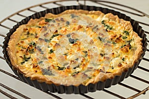 Homemade quichÃ© with chicken, goat cheese and spinach. Selective focus