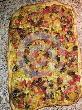 Homemade Rectangular Pizza with Toppings