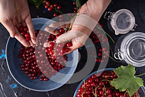 Homemade red currant jam preparation