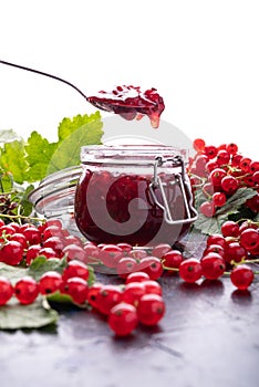 Homemade red currant jam preparation