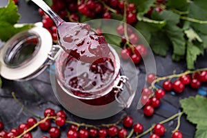 Homemade red currant jam preparation