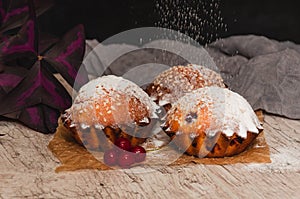 Homemade red currant muffins with sesame seeds on brown baking paper. Falling icing sugar on baked muffins. Closeup