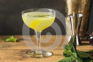 Homemade Refreshing Southside Mint Cocktail