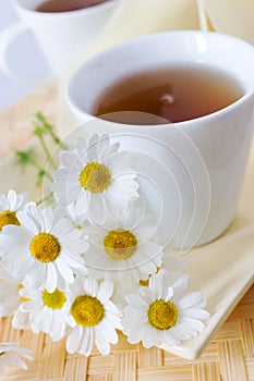 Homemade remedy - herbal camomile tea matricaria chamomilla -