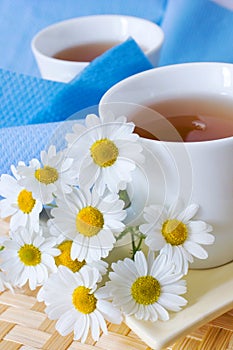 Homemade remedy - herbal camomile tea matricaria chamomilla -