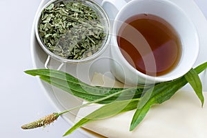 Homemade remedy - herbal plantain tea plantago lanceolata - he