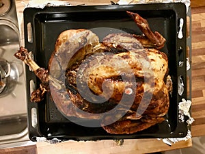 Homemade Roasted Thanksgiving Day Turkey Top View