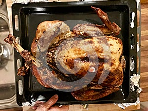 Homemade Roasted Thanksgiving Day Turkey Top View