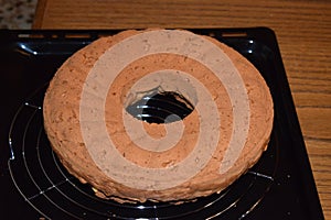 homemade round cake