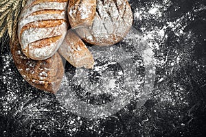 Homemade rye bread sprinkled with flour and various grains and seeds on a black background with spikelets of wheat or
