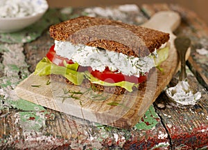 Homemade sandwich closeup