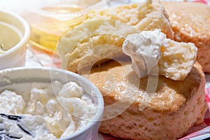 Homemade  scones with clotted cream - closeup