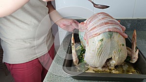 Homemade seasoning cooking stuffed turkey, holiday menu concept