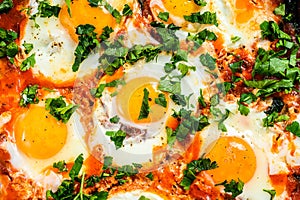 Homemade shakshuka, fried eggs, onion, bell pepper, tomatoes and parsley in a pan. Gray background. Top view