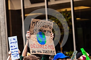 Homemade sign at environmental rally