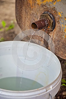 Homemade Slivovitz or Rakija plum brandy dripping into the bucket