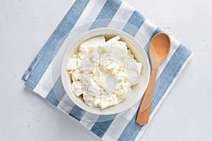 Homemade soft white Cottage cheese or Curd