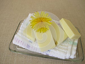 Homemade solid body butter bars with dandelion flower oil