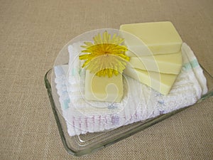 Homemade solid body butter bars with dandelion flower oil