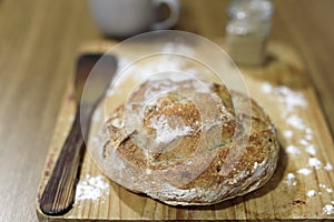 Homemade sourdough bread in a conventional oven