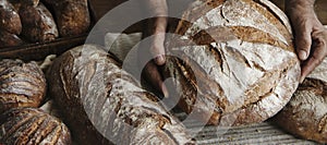 Homemade sourdough bread food photography recipe idea photo