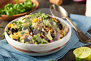 Homemade Southwestern Mexican Quinoa Salad