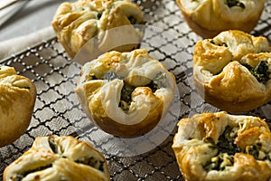 Homemade Spinach Muffin Puff