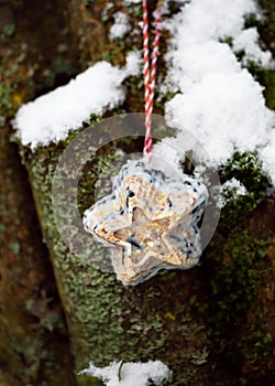 Homemade star shaped birdseed cake hanging in the snowy garden for feeding the birds in winter.