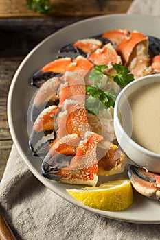 Homemade Steamed Stone Crab Claws