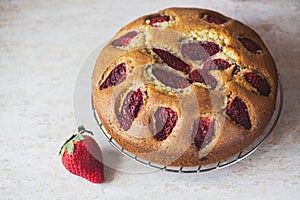 Homemade strawberry sponge cake. Overhead view