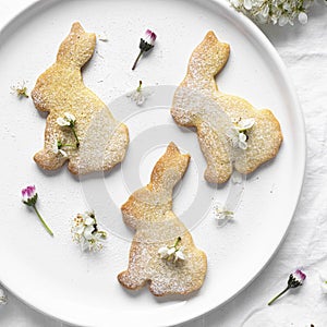 Homemade sugar bunny cookies recipe