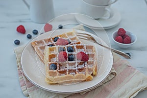 Homemade summer breakfast belgian waffles with berries