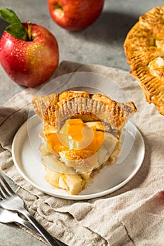 Homemade Sweet American Apple Pie with Cheddar Cheese