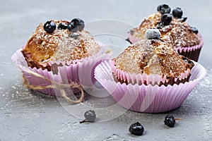Homemade sweet blueberry muffins close up