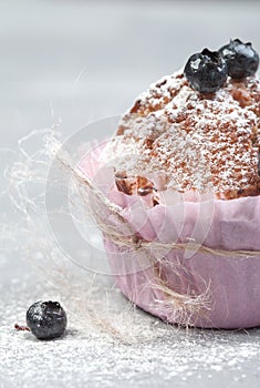 Homemade sweet blueberry muffins close up