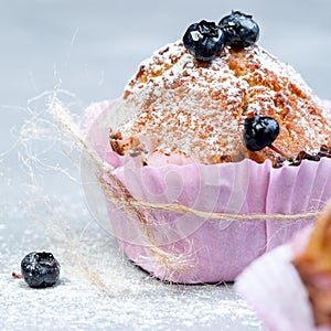 Homemade sweet blueberry muffins close up