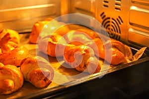 Homemade sweet cinnamon roll baking on a sheet in oven