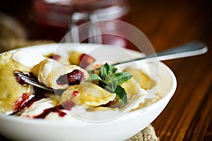 Homemade sweet dumplings with berries and sour cream