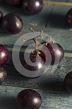 Homemade Sweet Muscadine Grapes